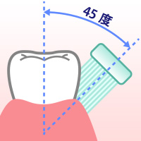 歯ブラシを歯と歯茎の間に角度45度であてているイラスト